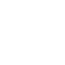 Footer Service Icon 1