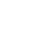 Footer Service Icon 2