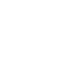 Footer Service Icon 4