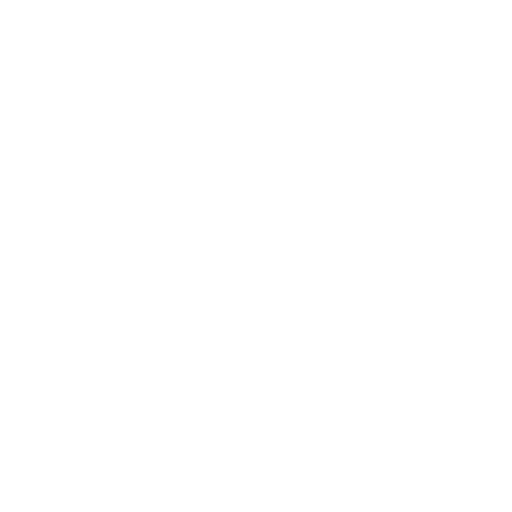 Web Solution Service